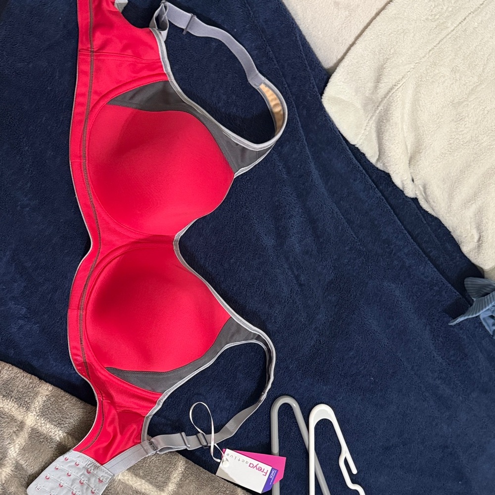 Bare Necessities Vibrant Red and Gray Bra